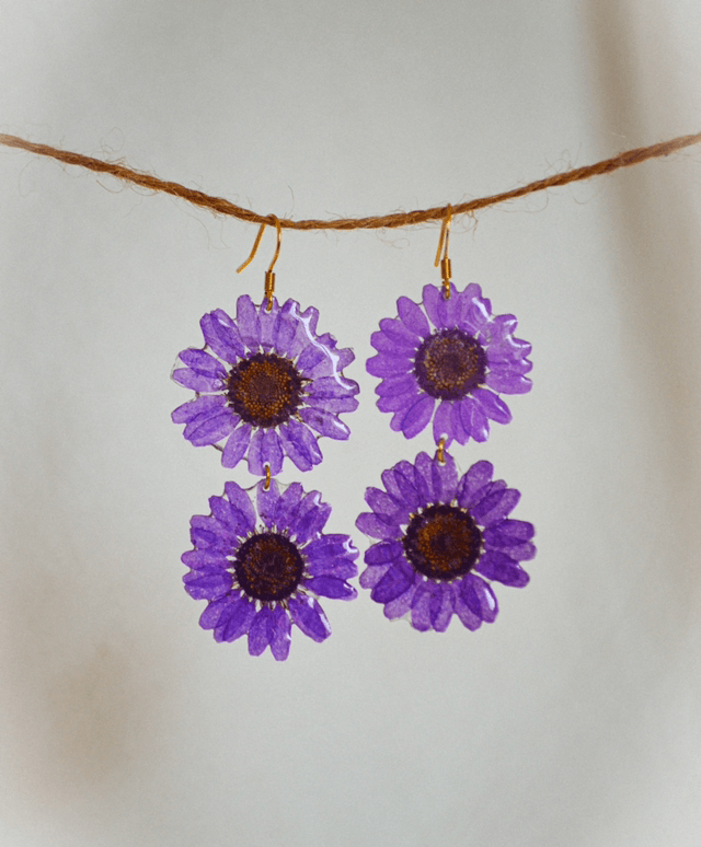 Purple Daisy