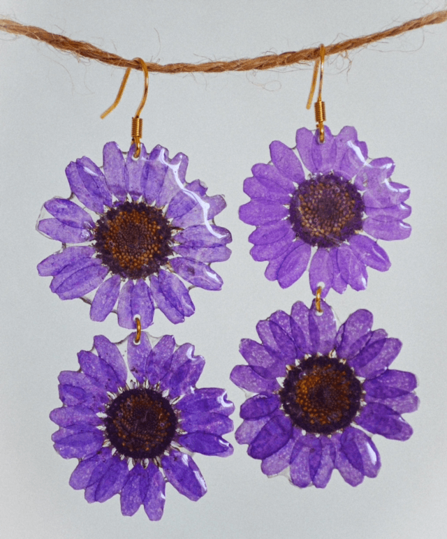 Purple Daisy