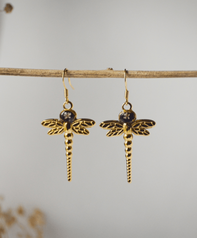 Dragonflies 
