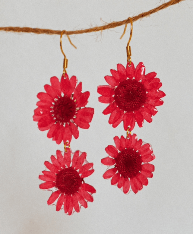 Red Daisy