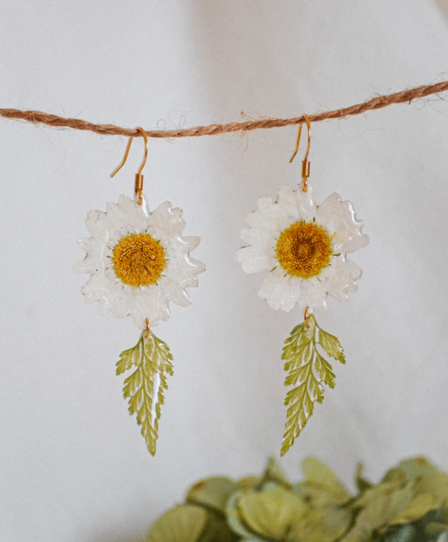 White Daisy