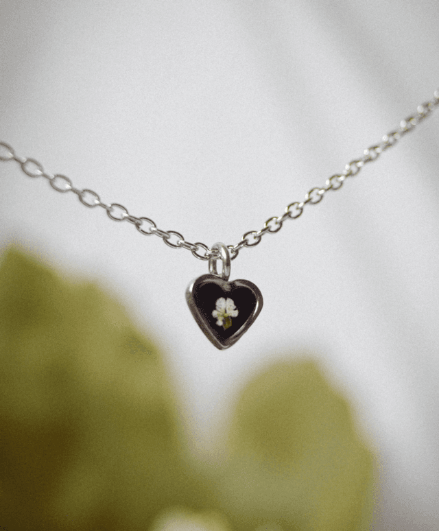 Pettit coeur
