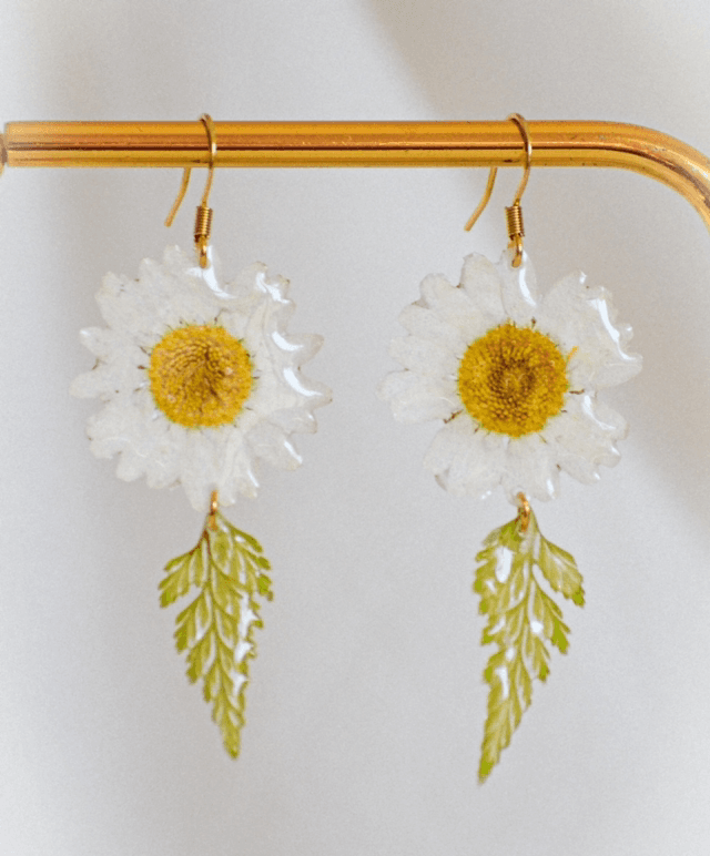White Daisy