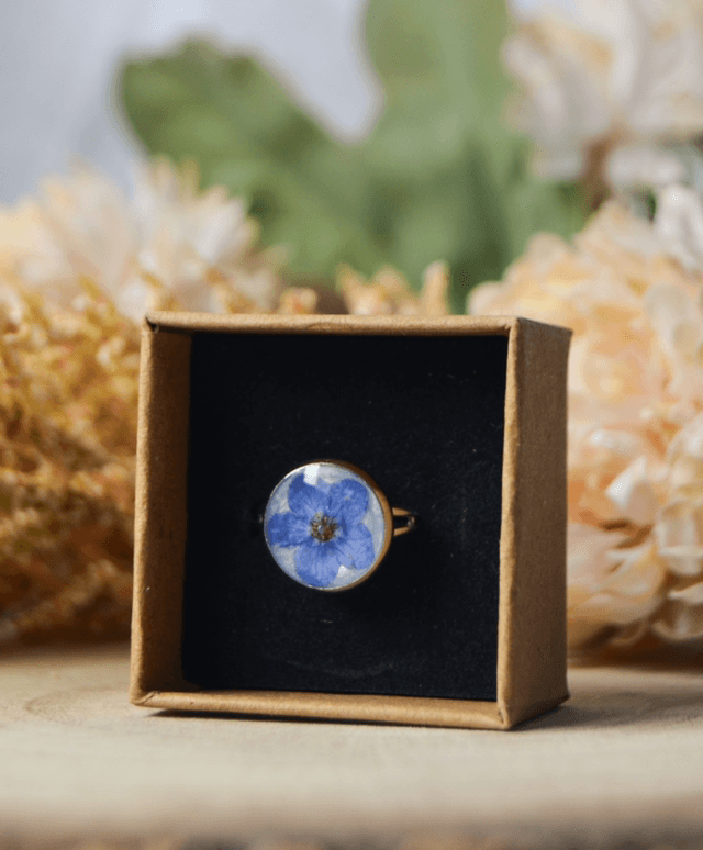 Forget me not 